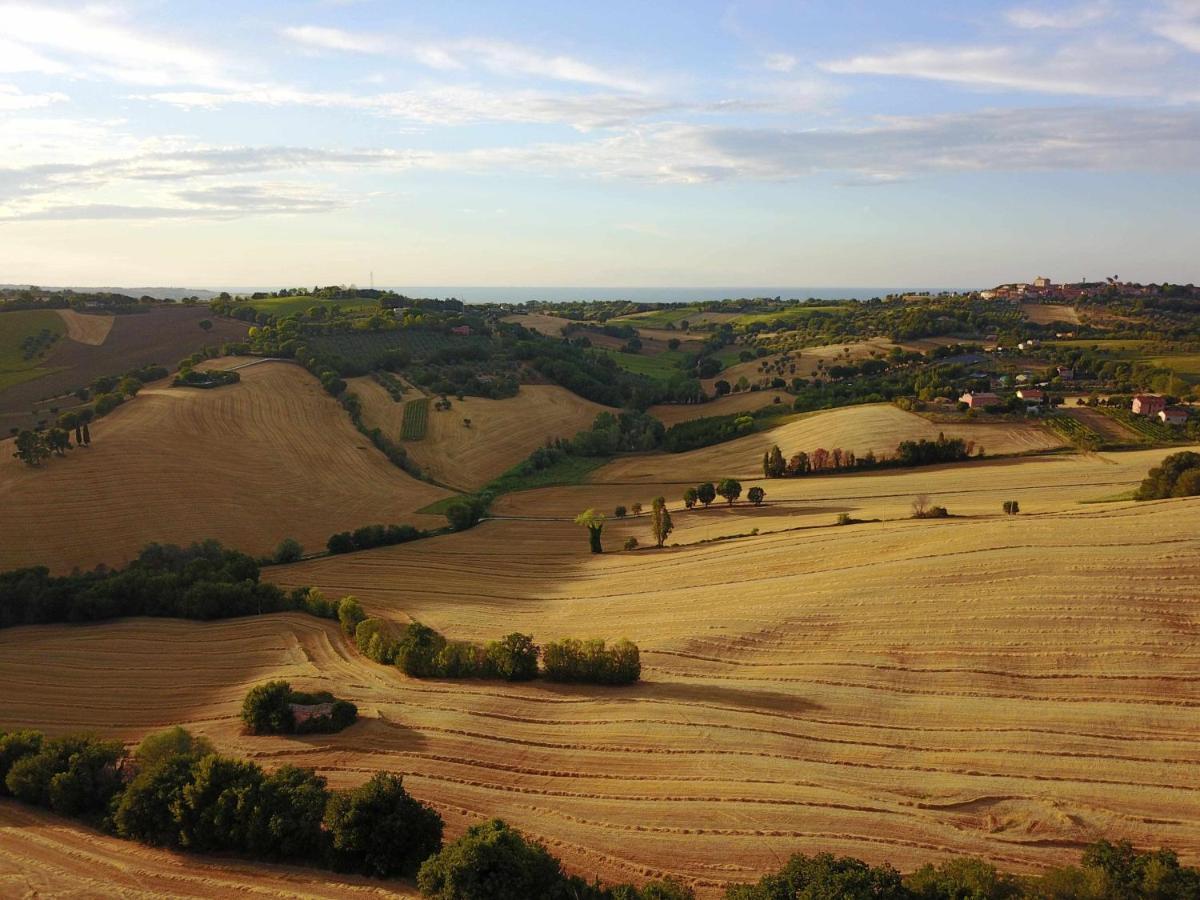 La Meriggia Agriturismo- Ampio Appartamento Con Terrazza Esclusiva Ancona Exteriör bild