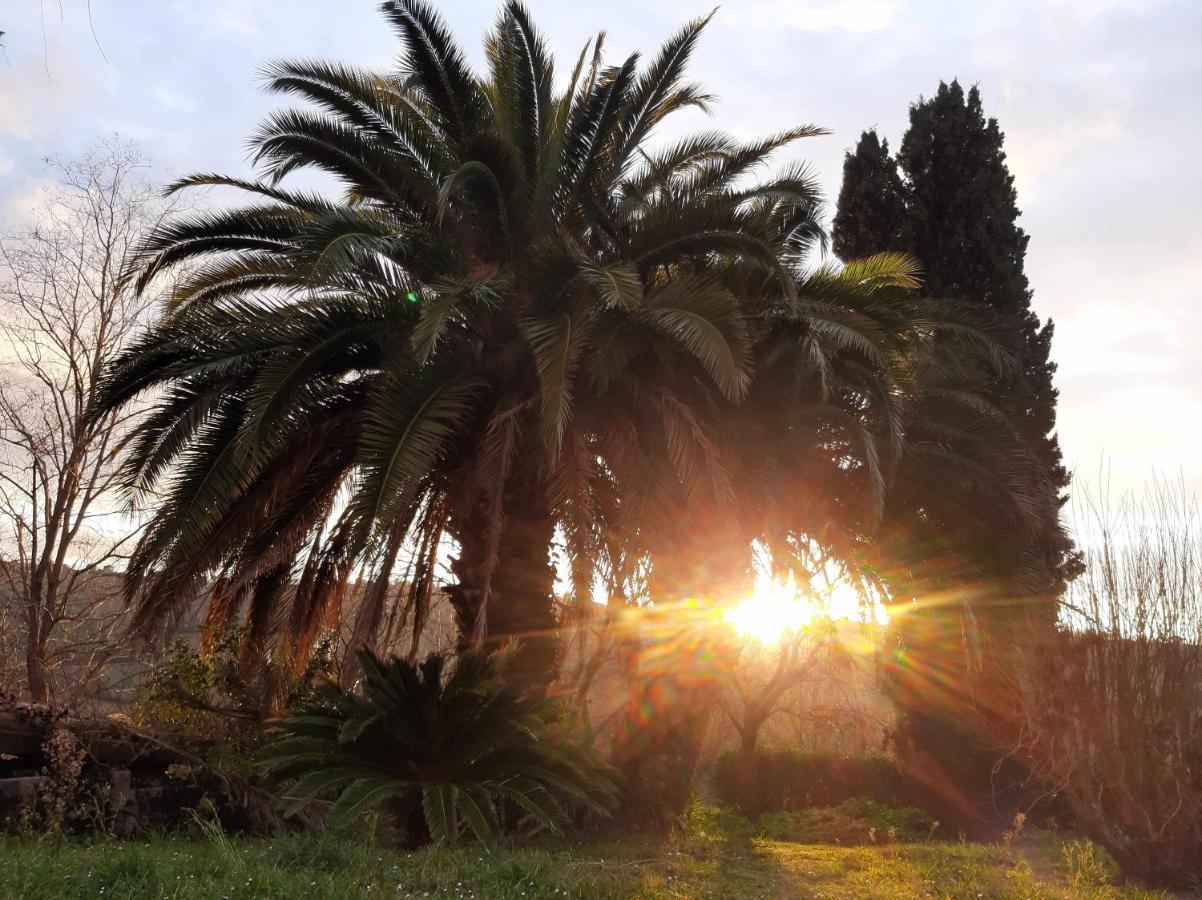 La Meriggia Agriturismo- Ampio Appartamento Con Terrazza Esclusiva Ancona Exteriör bild