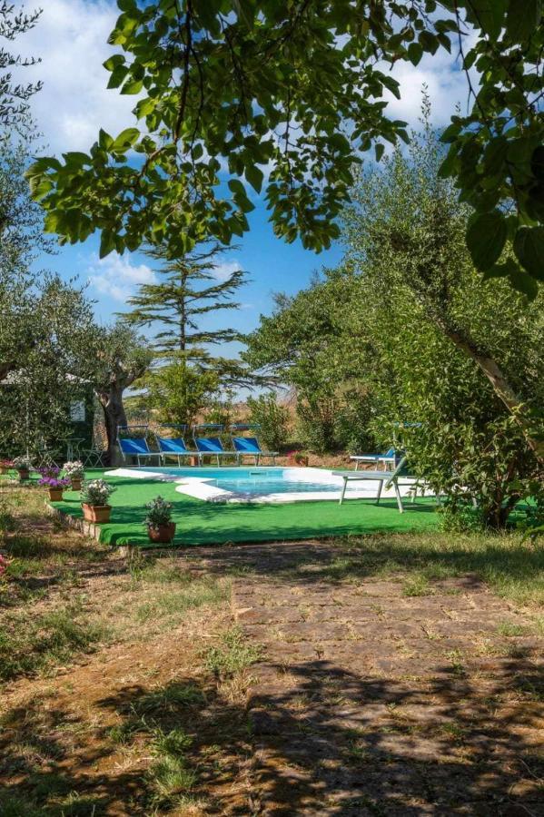La Meriggia Agriturismo- Ampio Appartamento Con Terrazza Esclusiva Ancona Exteriör bild