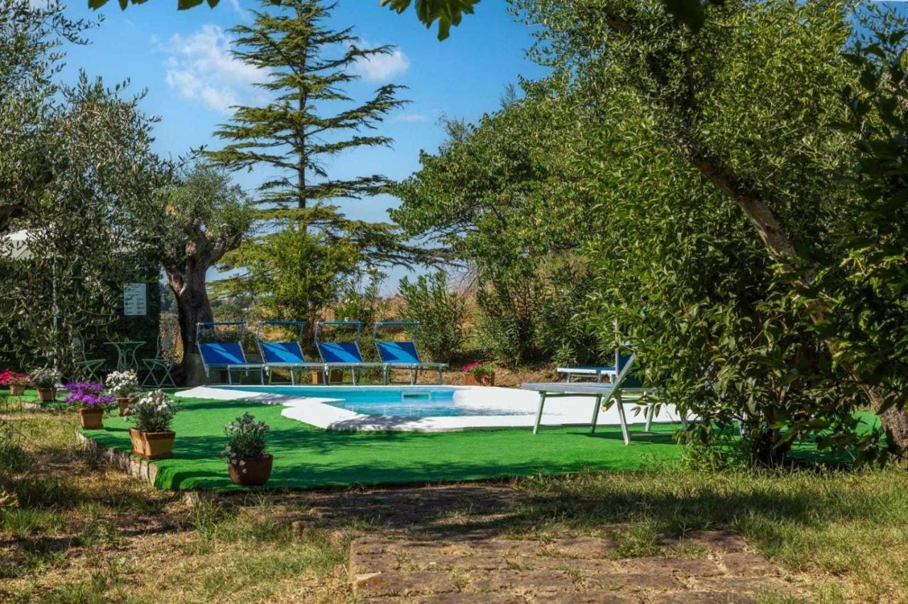 La Meriggia Agriturismo- Ampio Appartamento Con Terrazza Esclusiva Ancona Exteriör bild